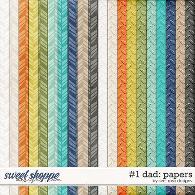 Number 1 Dad: Papers by River Rose Designs