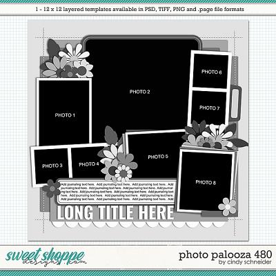 Cindy's Layered Templates - Photo Palooza 480 by Cindy Schneider