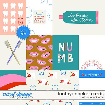 Toothy: Pocket Cards by Allison Pennington