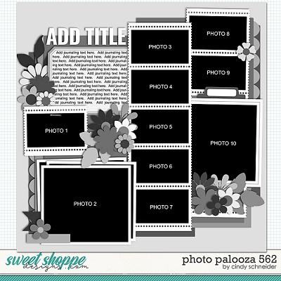 Cindy's Layered Templates - Photo Palozoa 562 by Cindy Schneider