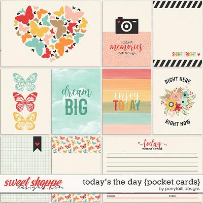 Today's the Day Pocket Cards by Ponytails