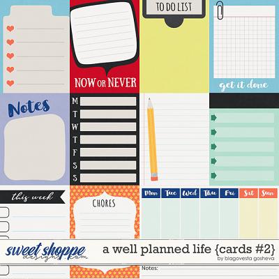 A Well Planned Life {cards #2} by Blagovesta Gosheva