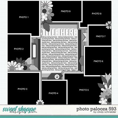 Cindy's Layered Templates - Photo Palooza 593 by Cindy Schneider