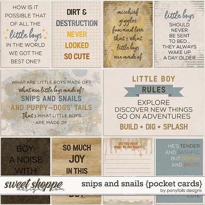 Snips and Snails Pocket Cards by Ponytails