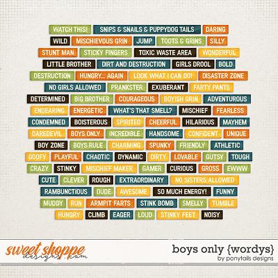 Boys Only Wordys by Ponytails