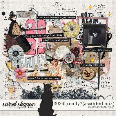 2025, really? (assorted mix) by Little Butterfly Wings