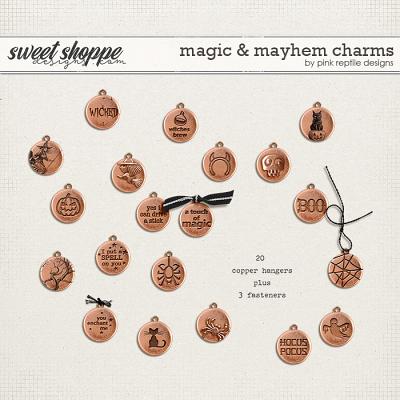 Magic & Mayhem Charms by Pink Reptile Designs