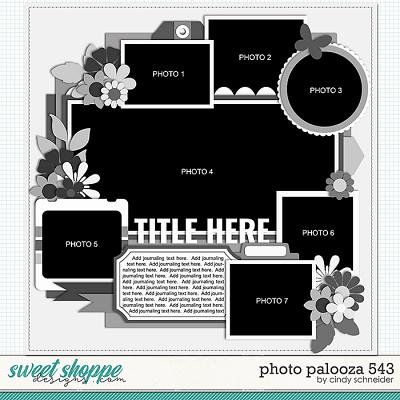 Cindy's Layered Templates - Photo Palooza 543 by Cindy Schneider