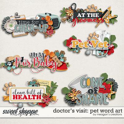 Doctor's Visit: Pet Word Art by Meagan's Creations