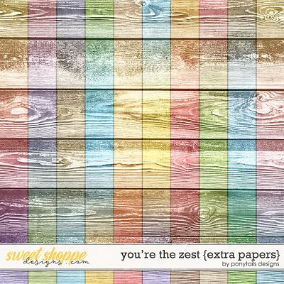 You're the Zest Extra Papers by Ponytails