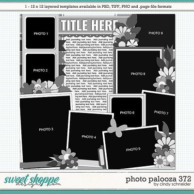 Cindy's Layered Templates - Photo Palooza 372 by Cindy Schneider