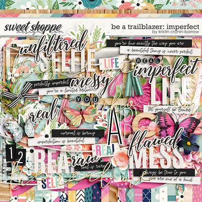 Be a Trailblazer: Imperfect by Kristin Cronin-Barrow