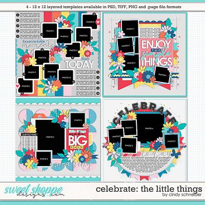 Celebrate: The Little Things by Cindy Schneider