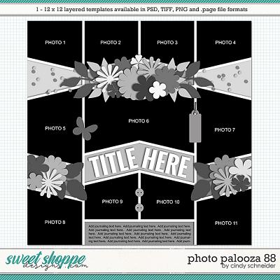 Cindy's Layered Templates - Photo Palooza 88 by Cindy Schneider