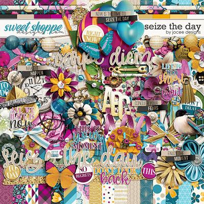 Seize the Day by JoCee Designs