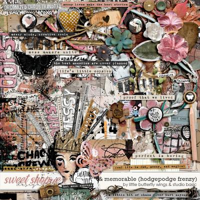 Creative Chronicles: Messy & Memorable Hodgepodge Frenzy by Little Butterfly Wings & Studio Basic