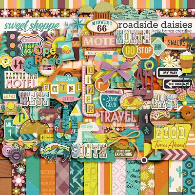Roadside Daisies by Kelly Bangs Creative
