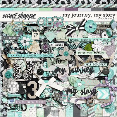 My Journey, My Story by Tracie Stroud