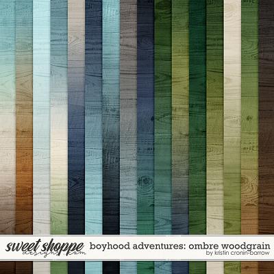 Boyhood Adventures: Ombre Woodgrain by Kristin Cronin-Barrow