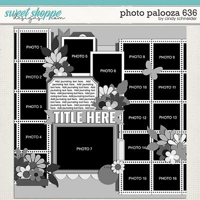 Cindy's Layered Templates - Photo Palooza 636 by Cindy Schneider