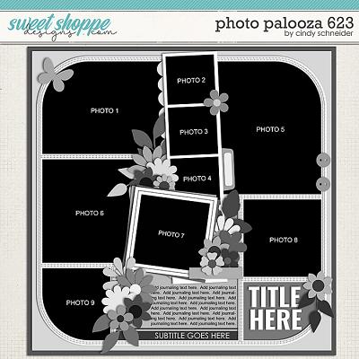 Cindy's Layered Templates - Photo Palooza 623 by Cindy Schneider