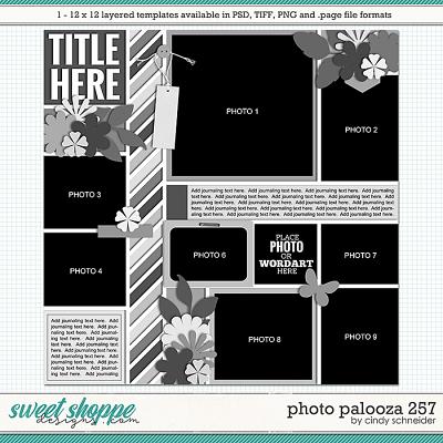 Cindy's Layered Templates - Photo Palooza 257 by Cindy Schneider