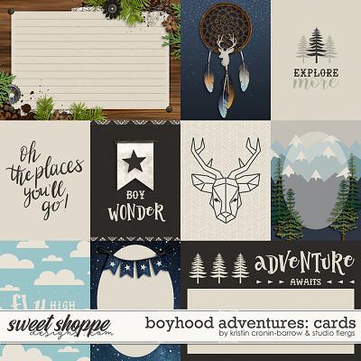 Boyhood Adventures: CARDS by Flergs & KCB