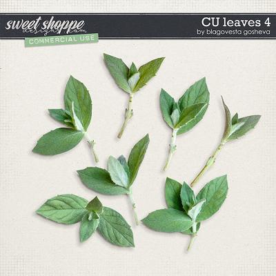 CU Leaves 4 by Blagovesta Gosheva