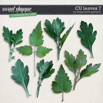 CU Leaves 7 by Blagovesta Gosheva