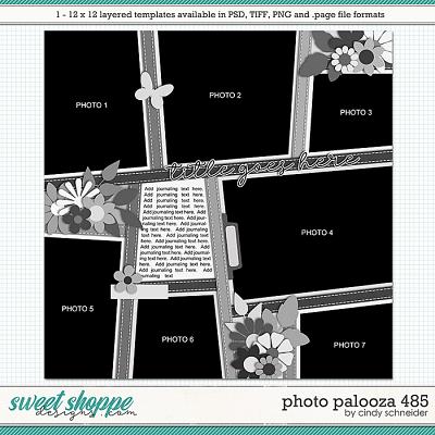 Cindy's Layered Templates - Photo Palooza 485 by Cindy Schneider