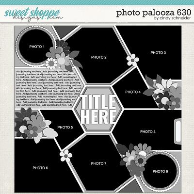 Cindy's Layered Templates - Photo Palooza 630 by Cindy Schneider