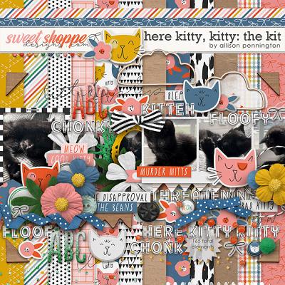 Here Kitty, Kitty: The Kit by Allison Pennington