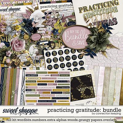 Practicing Gratitude Bundle by Connection Keeping