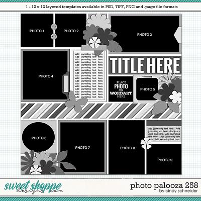 Cindy's Layered Templates - Photo Palooza 258 by Cindy Schneider