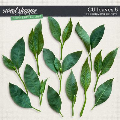 CU Leaves 5 by Blagovesta Gosheva