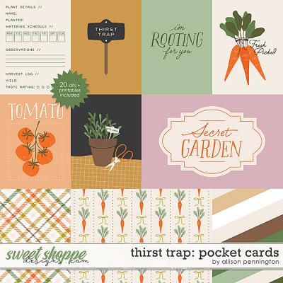 Thirst Trap: Pocket Cards by Allison Pennington