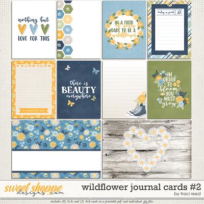 Wildflower Cards #2 by Traci Reed