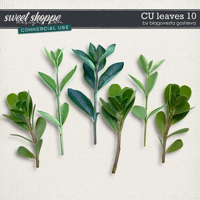 CU Leaves 10 by Blagovesta Gosheva