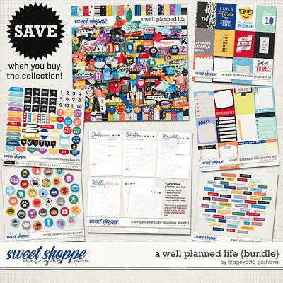 A Well Planned Life {bundle} by Blagovesta Gosheva
