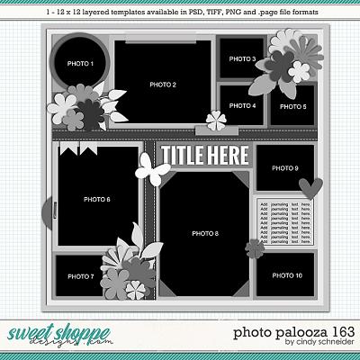 Cindy's Layered Templates - Photo Palooza 163 by Cindy Schneider