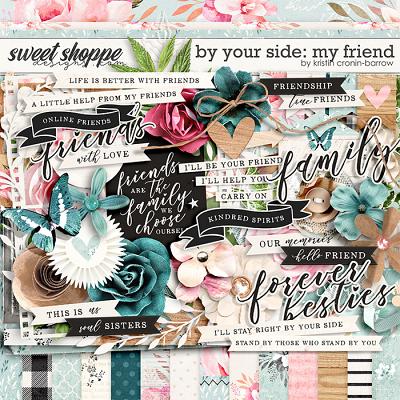 By Your Side: My Friend by Kristin Cronin-Barrow 