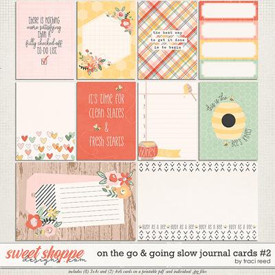 On The Go & Going Slow Cards #2 by Traci Reed