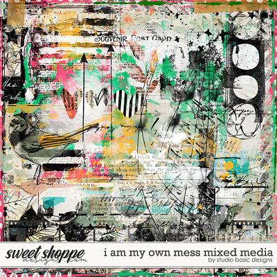 I Am My Own Mess Mixed Media by Studio Basic