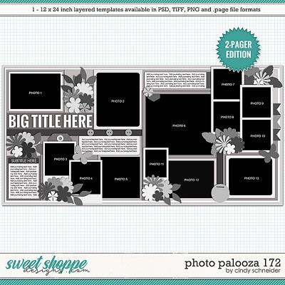 Cindy's Layered Templates - Photo Palooza 172 by Cindy Schneider