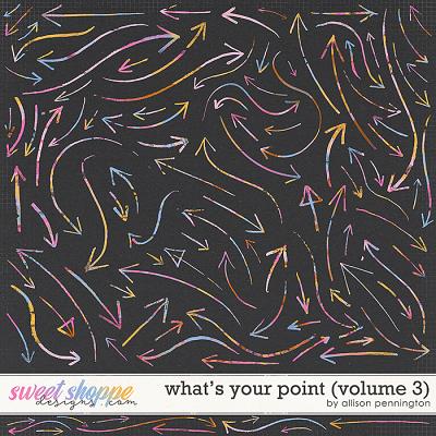 What's Your Point vol.3 by Allison Pennington
