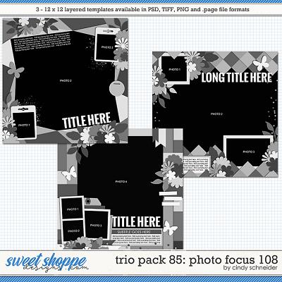 Cindy's Layered Templates - Trio Pack 85: Photo Focus 108 by Cindy Schneider