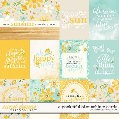 A Pocketful of Sunshine: Cards by Kristin Cronin-Barrow 