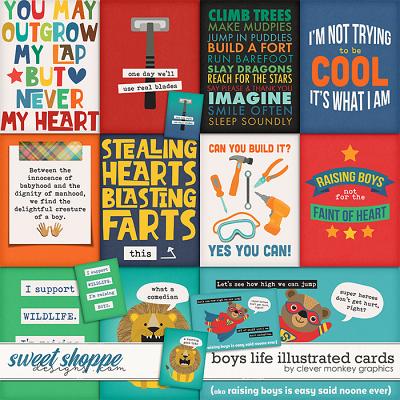 Boys Life Illustrated Cards by Clever Monkey Graphics