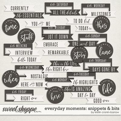 Everyday Moments: Snippets & Bits by Kristin Cronin-Barrow