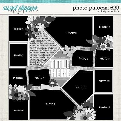Cindy's Layered Templates - Photo Palooza 629 by Cindy Schneider